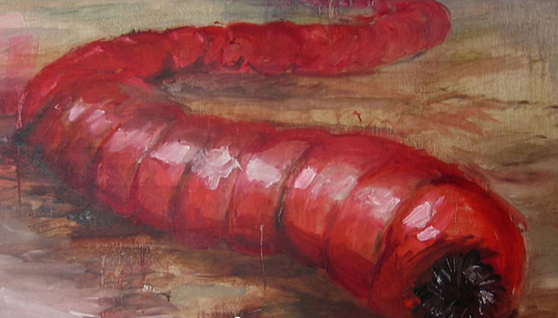 Er ist rot wie frisches Blut, über einen Meter lang und lauert in der Wüste Gobi auf Opfer: der Mongolische Todeswurm. Mit seinem Gift kann er angeblich sogar Kamelen allein durch eine Berührung den Garaus machen. Nomadenvölker der Mongolei erzählen sich seit Generationen, wie der Todeswurm ganze Familien auslöschte.