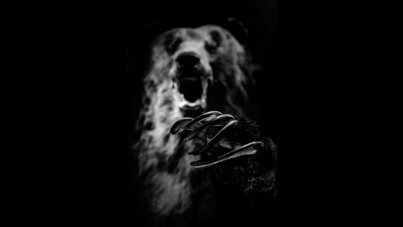 Ein Bär in Afrika? Eigentlich unmöglich, denn die letzte hier beheimatete Art, die Atlasbären, wurden im 19. Jahrhundert ausgerottet. Dennoch wollen Angehörige des Nandi-Volks im westlichen Kenia eine bärenartige Kreatur gesehen haben. Der nach ihnen benannte Nandi-Bär wird als grausamer Räuber beschrieben und ähnelt den Beschreibungen nach dem nordamerikanischen Bigfoot. Die meisten Forscher, die den Spuren des Nandi-Bärs nachgegangen sind, glauben, dass es sich bei dem mysteriösen Tier um eine Hyäne handelt - möglicherweise auch um eine bislang nicht identifizierte Unterart.