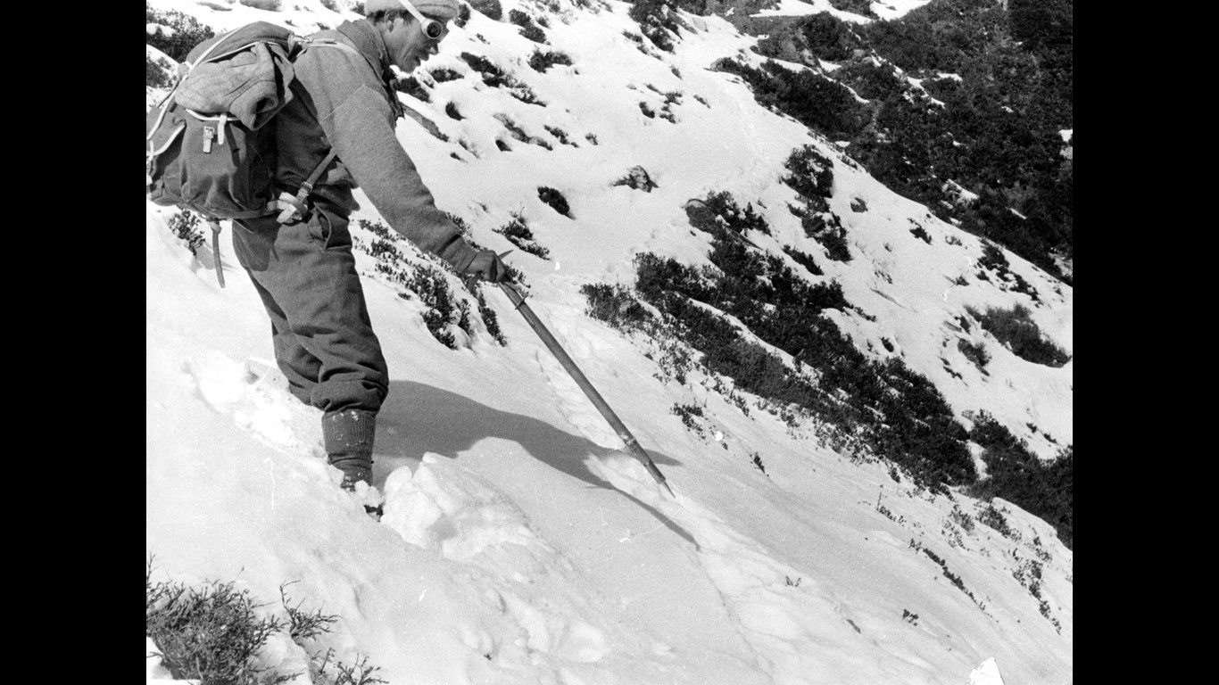 Andere wiederum glauben, der Yeti sei ein Tibetischer Braunbär. Laut dem japanischen Himalaya-Forscher Makoto Nebuka bezeichnen einige Völker in Nepal, Tibet und Bhutan Bären als