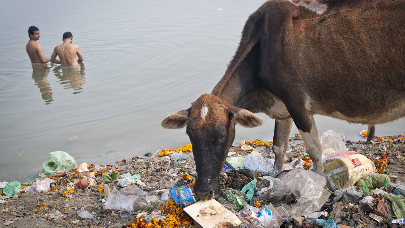Etwa 10.000 Müllsammler lesen allein in Allahabad täglich 50 Tonnen Verwertbares auf.