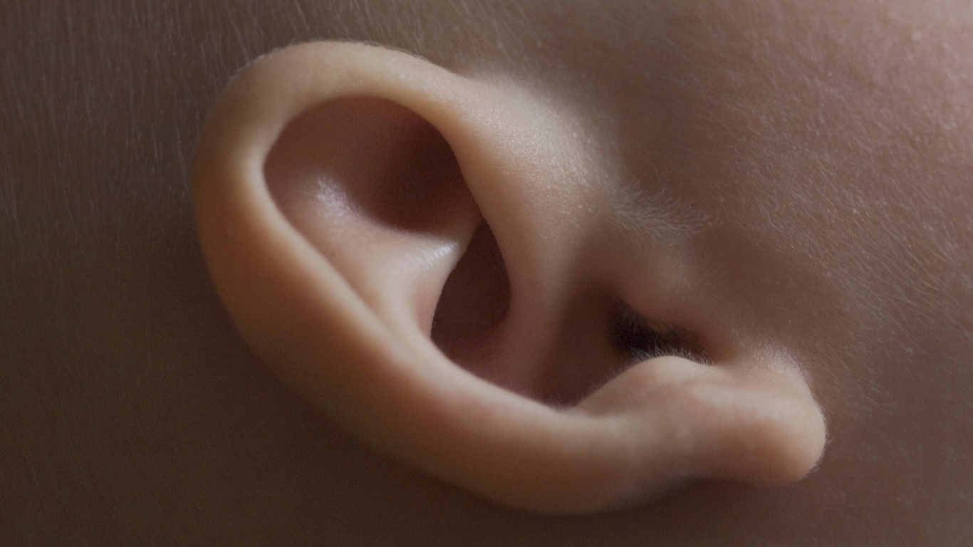 Unser Innenohr besitzt rund 14.000 Hörzellen mit je 50 Sinneshärchen. Ein Flüstern können wir noch aus sechs bis acht Metern Entfernung wahrnehmen, ein Gespräch hören bekommen wir noch aus 20 Metern mit – und einen lauten Schrei hören wir noch aus 200 Meter Entfernung. Die menschliche Hörfähigkeit liegt, abhängig vom Alter, zwischen 16 und 21.000 Hertz. Zum Vergleich: Die Hörfähigkeit einer Fledermaus beträgt 400.000 Hertz.