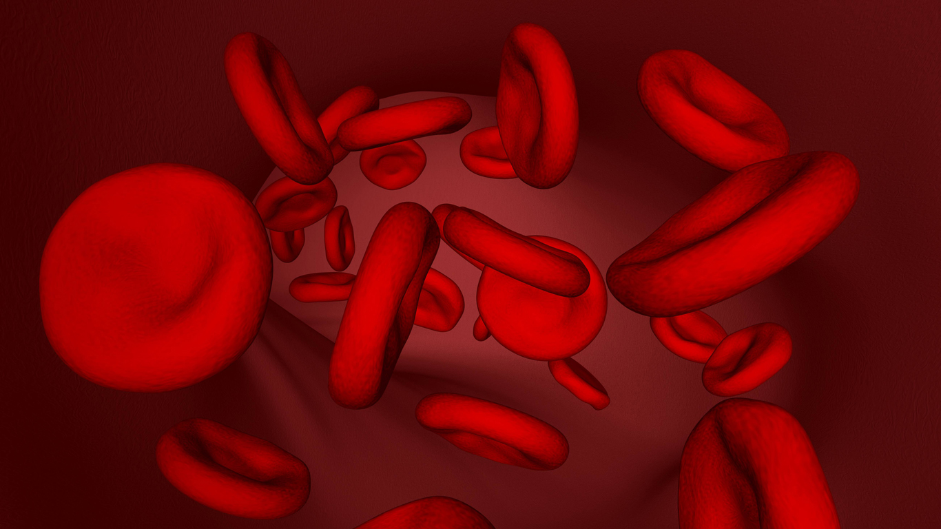 Fünf Liter Blut bestehen aus rund 25 Billionen roten und 30 Milliarden weißen Blutkörperchen. Die Lebensdauer eines roten Blutkörperchens beträgt 120 bis 130 Tage, danach wird es ersetzt. In jeder Sekunde bildet unser Körper etwa zwei Millionen roter Blutkörperchen – macht 200 Milliarden pro Tag. Würde man die roten Blutkörperchen aufeinanderstapeln, hätte der dabei entstehende Turm eine Höhe von etwa 60.000 Kilometern.