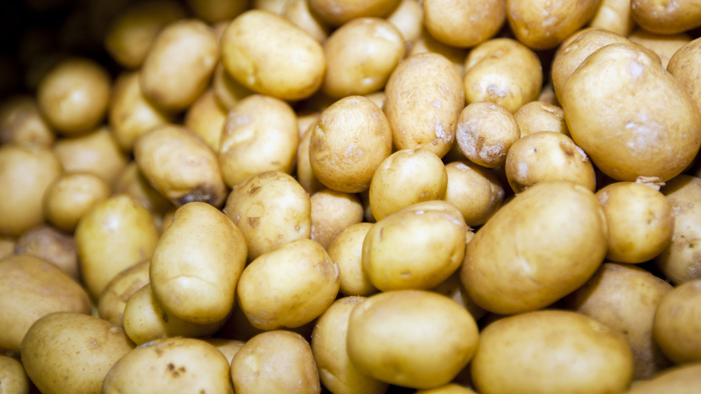 Solanin in Kartoffeln, Oxalsäure in Spinat und Phasin in grünen Bohnen: Viele Lebensmittel enthalten von Natur aus giftige Bestandteile, die sogar tödlich sein können. Die meisten dieser Gifte werden durch das Garen nicht vollständig zerstört und können sich im Körper ablagern.