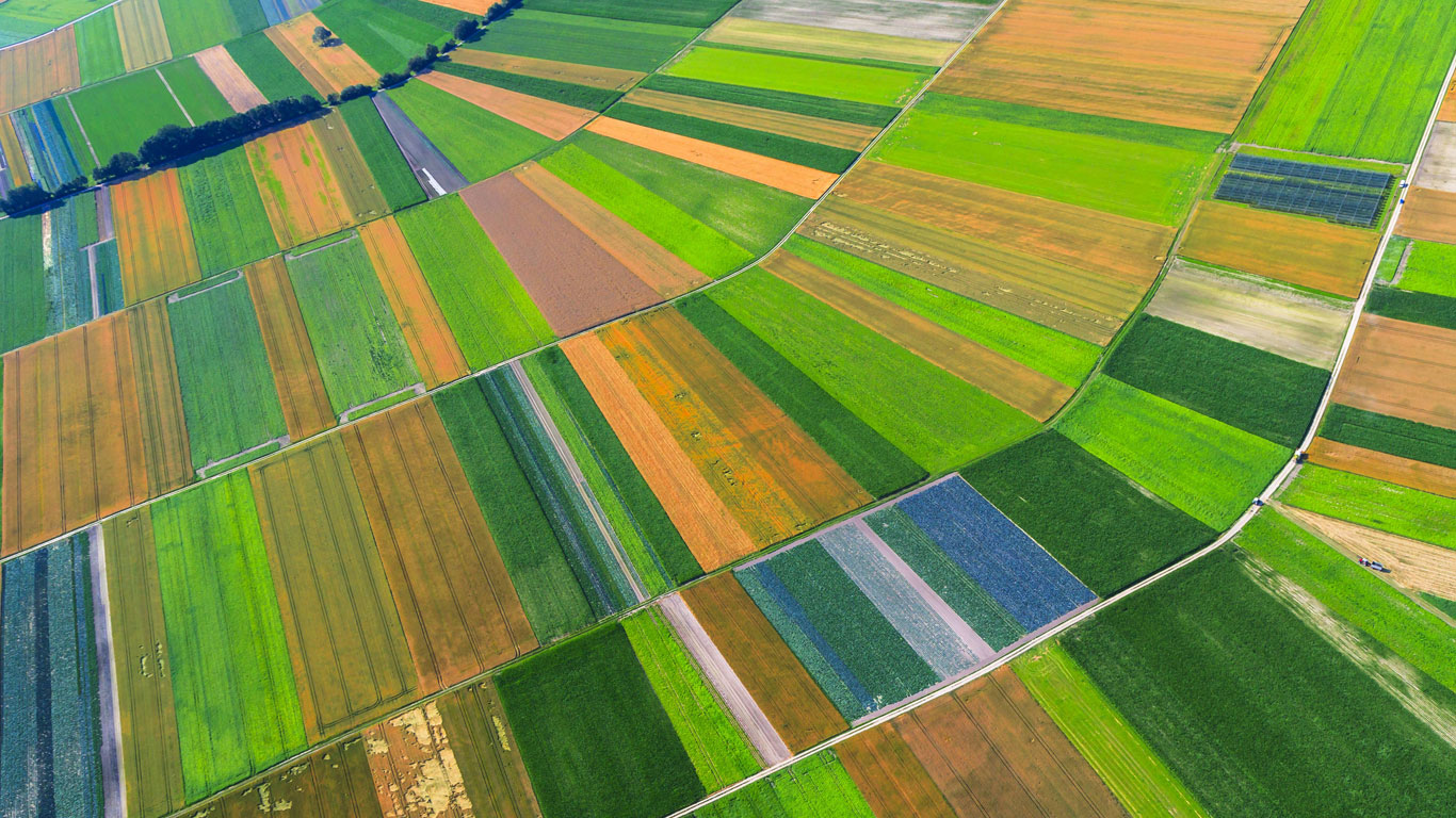 In den letzten 15 Jahren brachte die Weltmacht Food rund 2,2 Millionen Quadratkilometer landwirtschaftliche Nutzfläche unter ihre Kontrolle – das entspricht einer Fläche, in die Deutschland sechsmal hineinpassen würde.